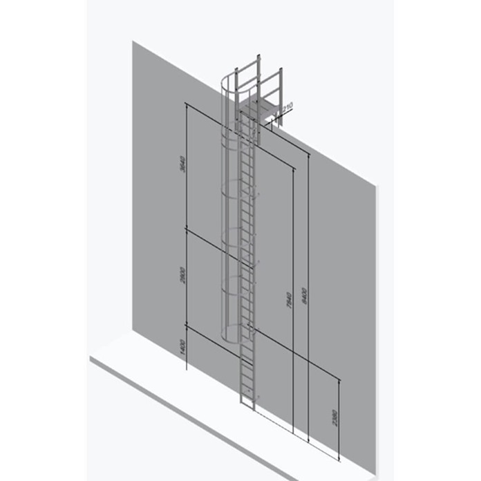 Fixed Vertical Ladder - Hoops & Parapet Crossover